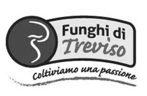 funghi-treviso